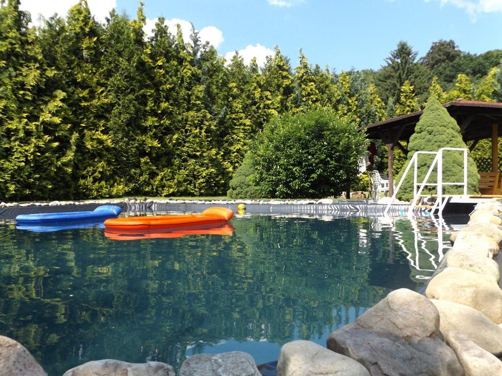 Cosy Apartment With In Pirna With Private Terrace Esterno foto