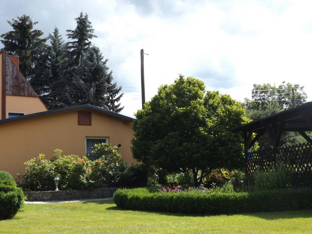 Cosy Apartment With In Pirna With Private Terrace Esterno foto