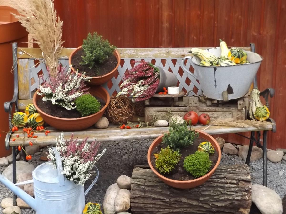 Cosy Apartment With In Pirna With Private Terrace Esterno foto